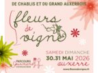 FESTIVAL FLEURS DE VIGNE