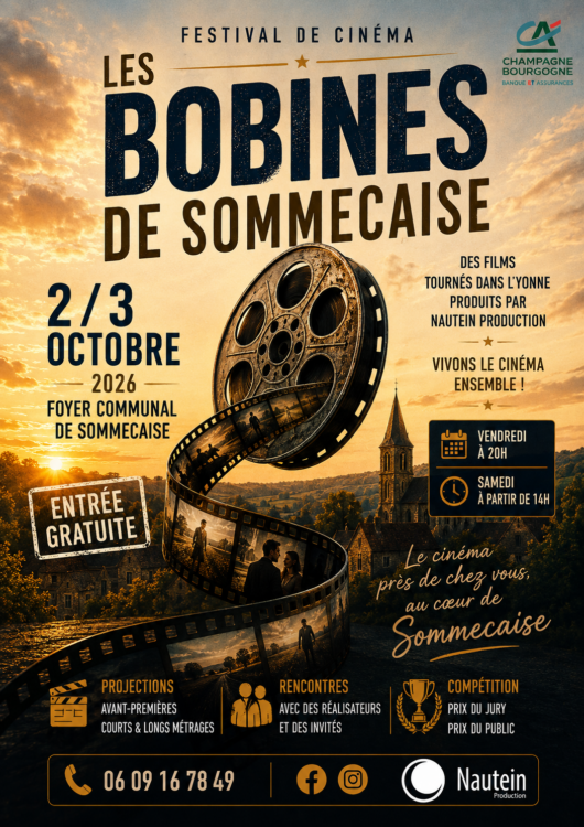 FESTIVAL DE CINEMA